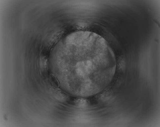 X0000103300276200809261321