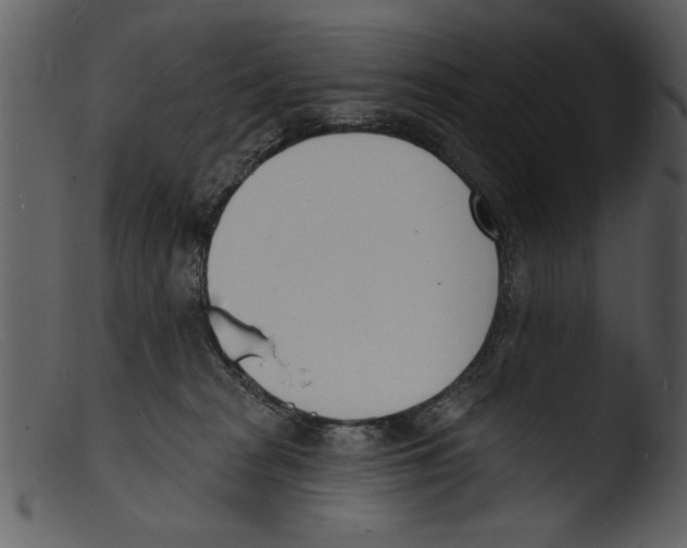 X0000103300277200809261321