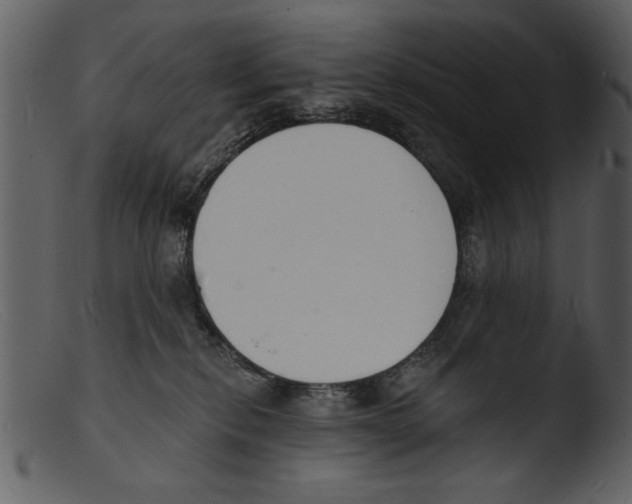X0000103300278200809261321