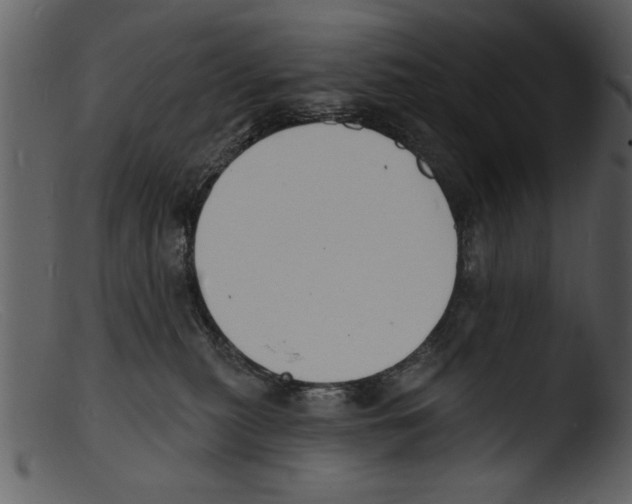 X0000103300279200809261321