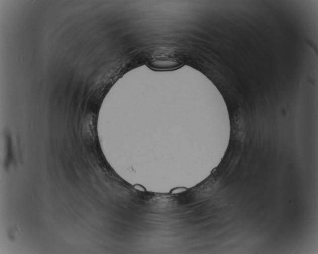 X0000103300280200809261321