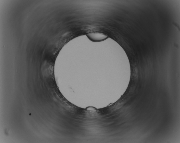 X0000103300281200809261321