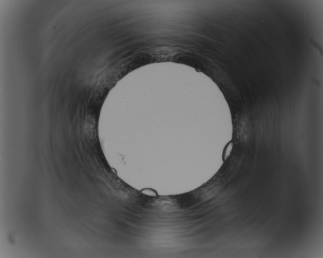X0000103300283200809261321