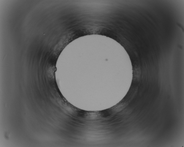 X0000103300286200809261321