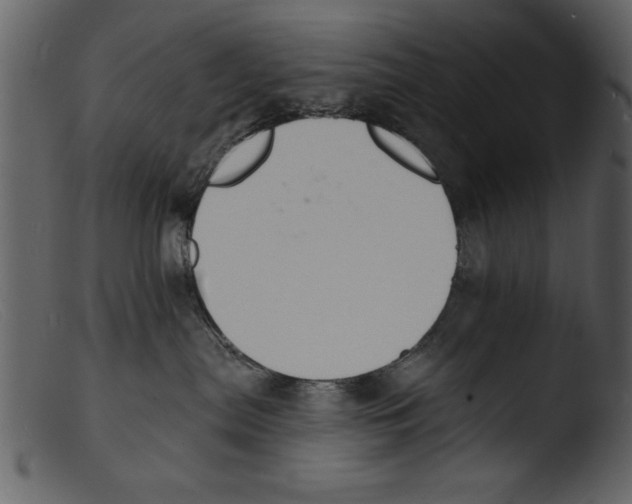 X0000103300287200809261321
