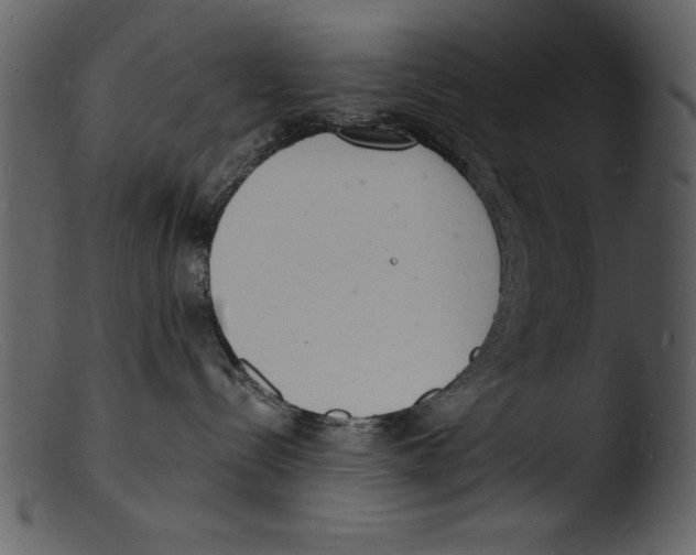 X0000103300288200809261321