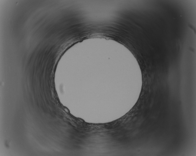 X0000103300289200809261320
