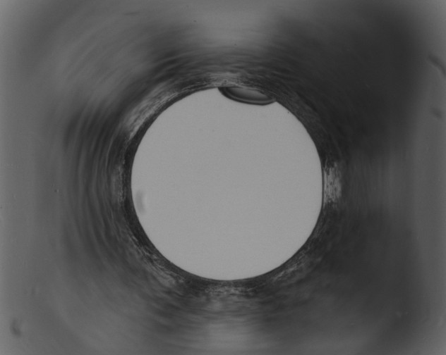 X0000103300291200809261320