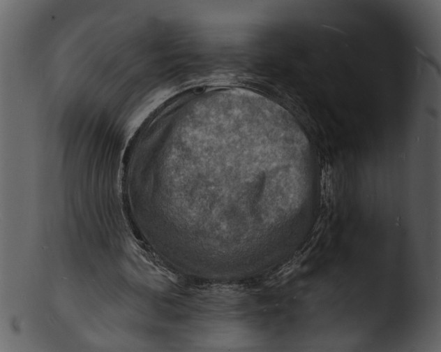 X0000103300292200809261320
