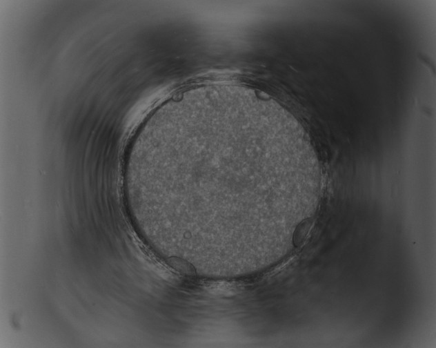 X0000103300293200809261320