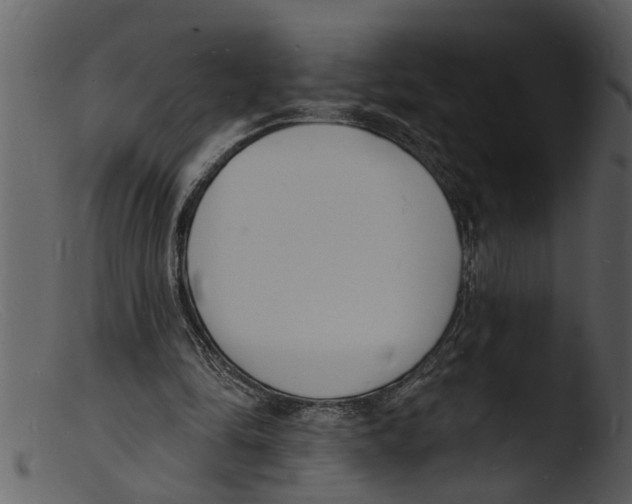 X0000103300294200809261320