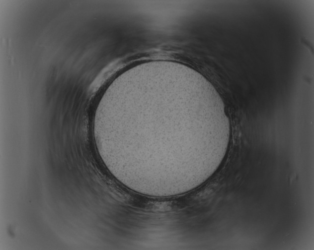 X0000103300295200809261320