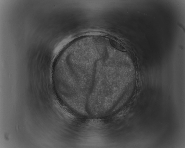 X0000103300296200809261320