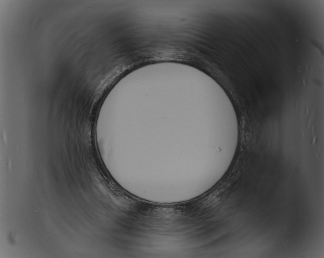 X0000103300298200809261320