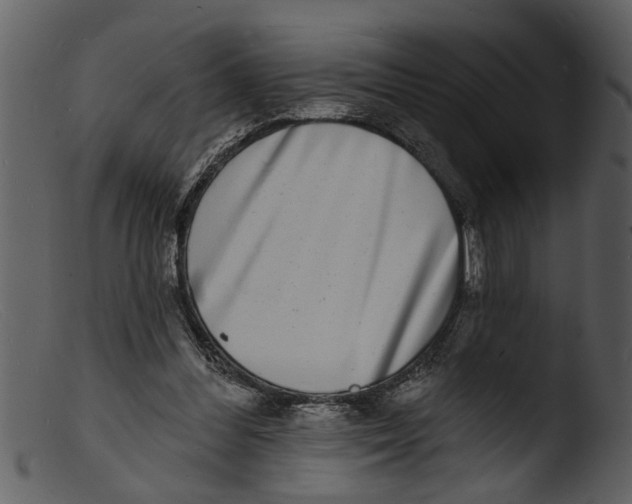 X0000103300300200809261320