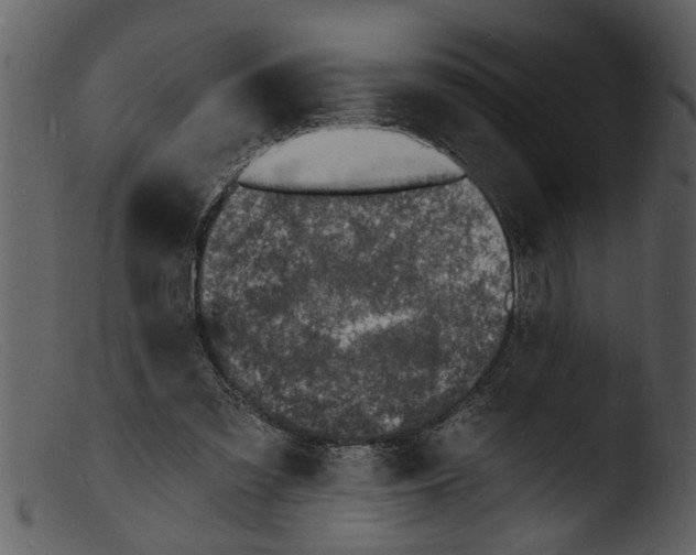X0000103300301200809261320