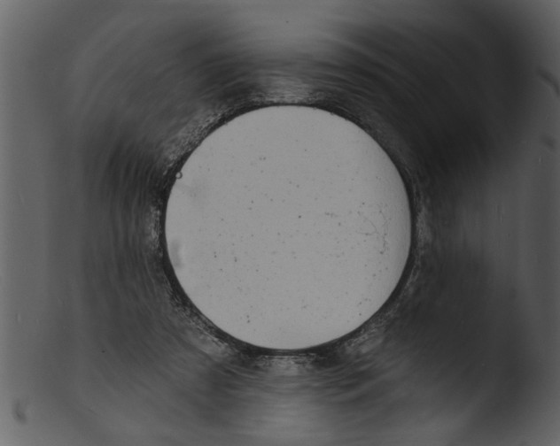 X0000103300305200809261320