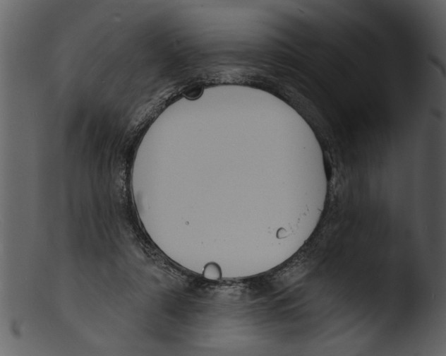 X0000103300306200809261320