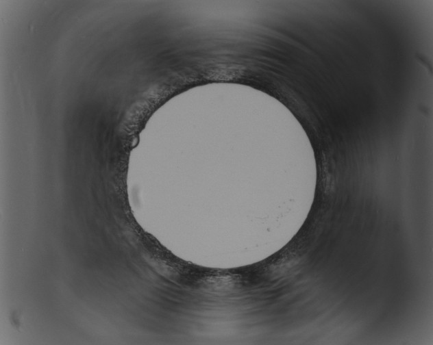 X0000103300307200809261320