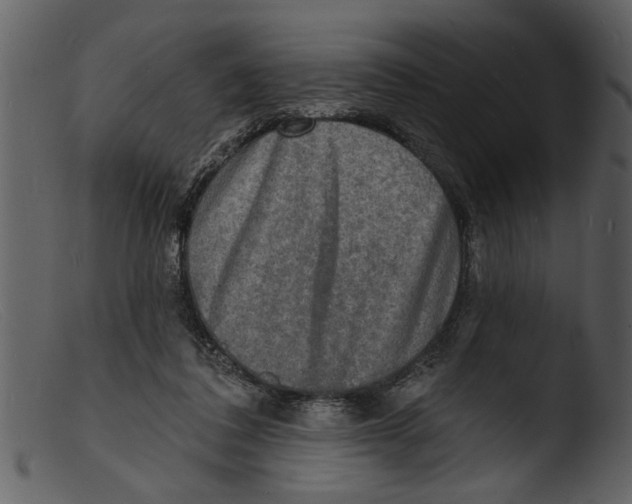 X0000103300308200809261320