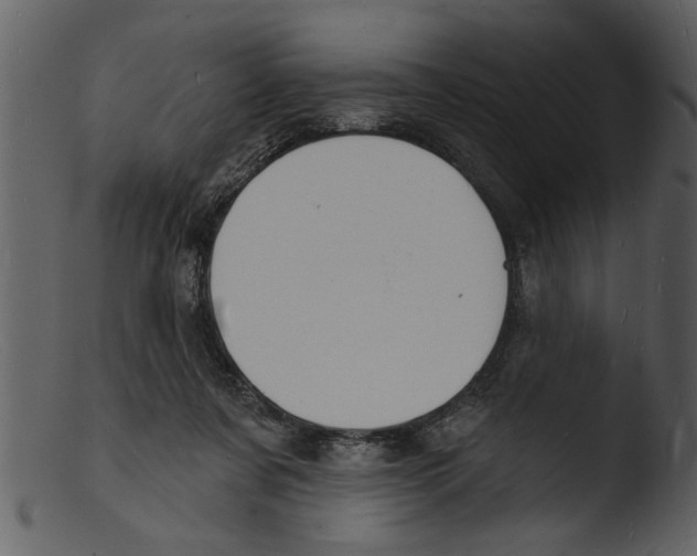X0000103300311200809261320