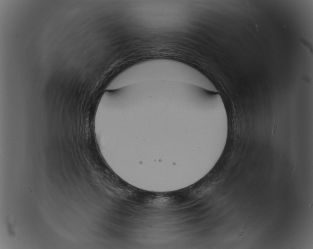 X0000103300312200809261320