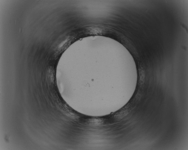 X0000103300313200809261319