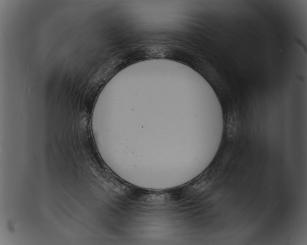 X0000103300314200809261319