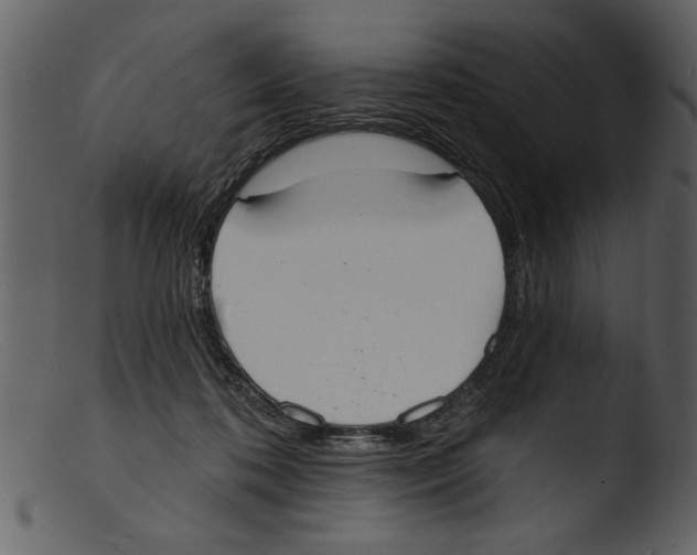 X0000103300316200809261319