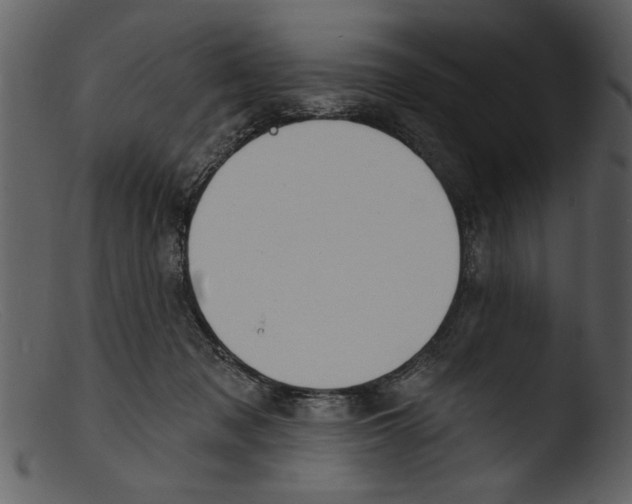 X0000103300317200809261319