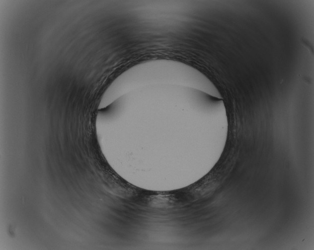 X0000103300320200809261319