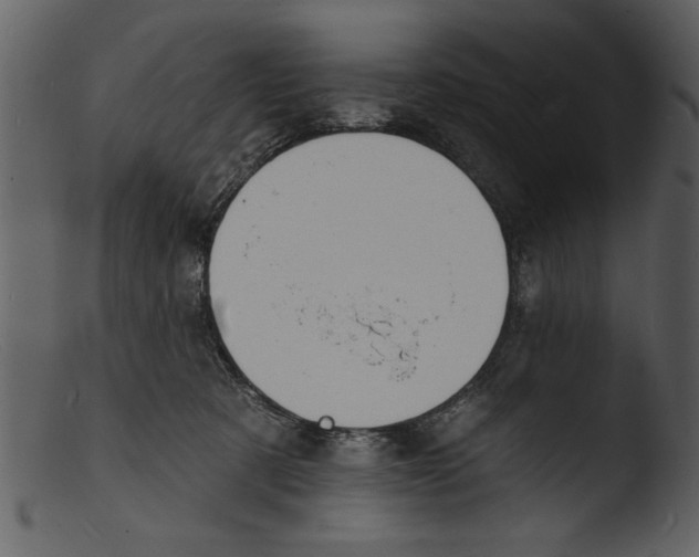 X0000103300321200809261319