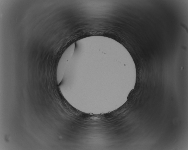 X0000103300323200809261319