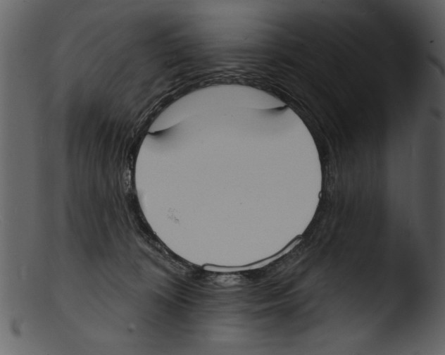 X0000103300324200809261319
