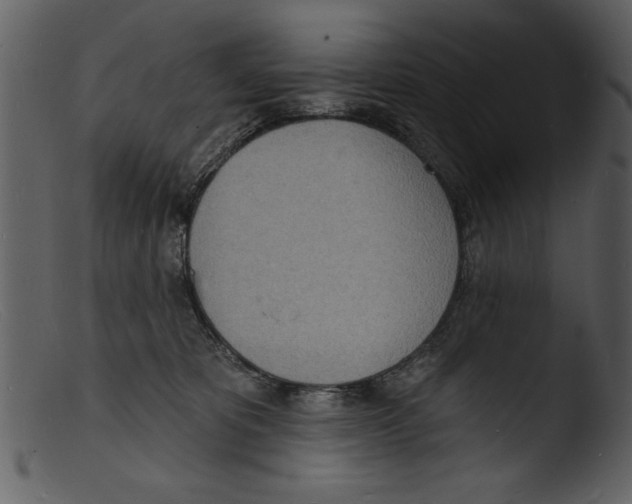 X0000103300325200809261319