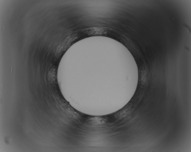 X0000103300326200809261319