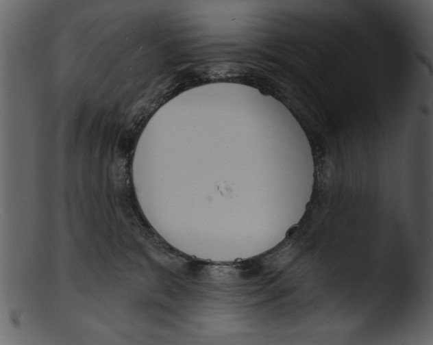 X0000103300327200809261319