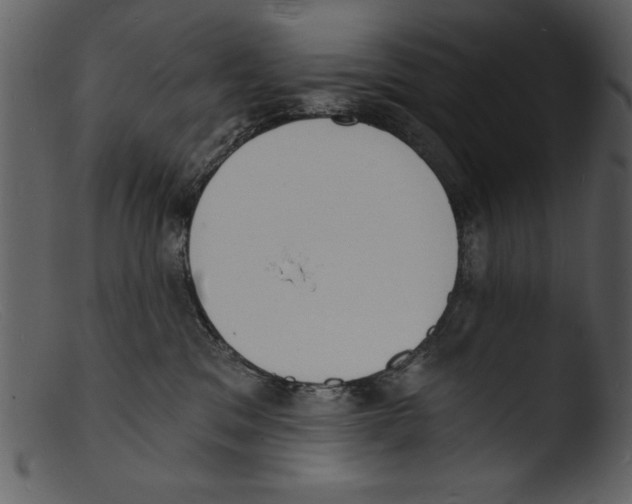 X0000103300329200809261319