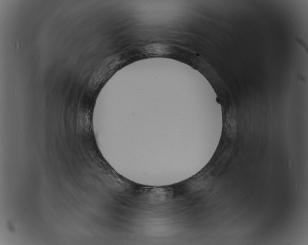 X0000103300330200809261319