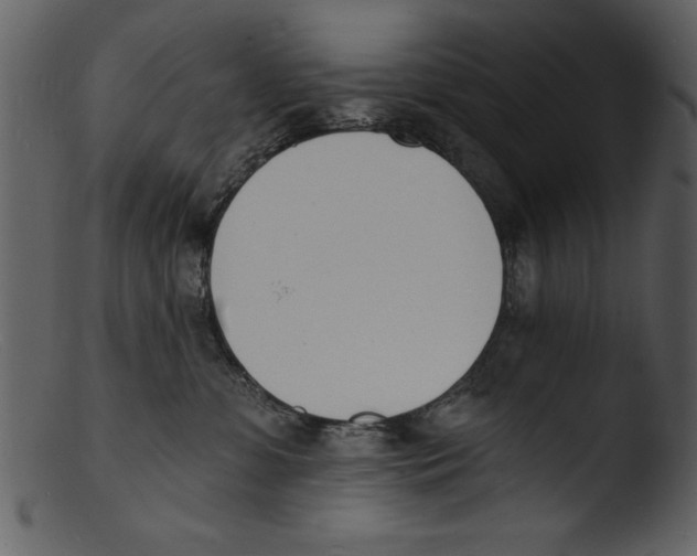 X0000103300331200809261319