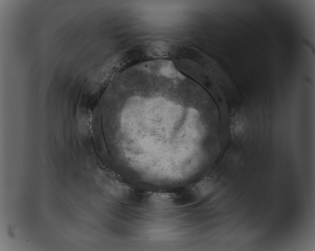 X0000103300332200809261319