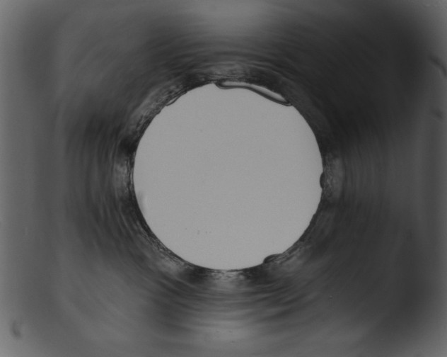 X0000103300333200809261319