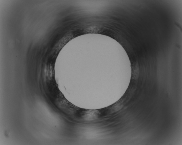 X0000103300334200809261319