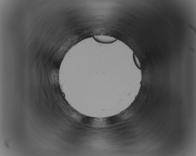X0000103300335200809261319