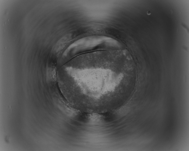 X0000103300336200809261319