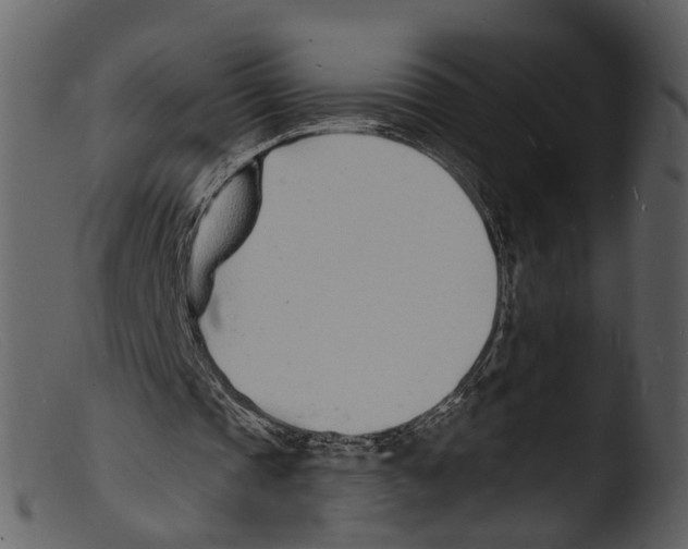 X0000103300337200809261319
