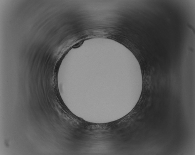 X0000103300338200809261319