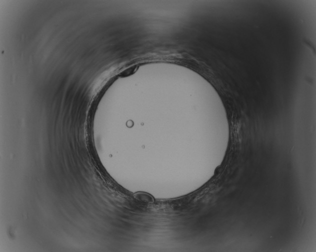 X0000103300340200809261319