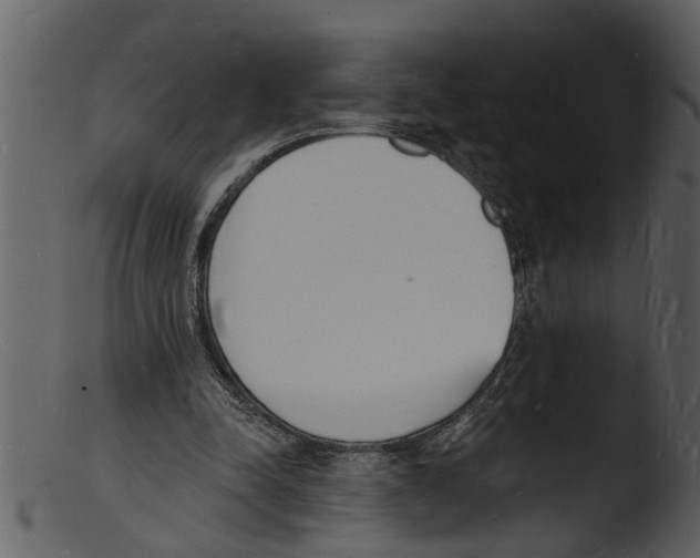 X0000103300342200809261319