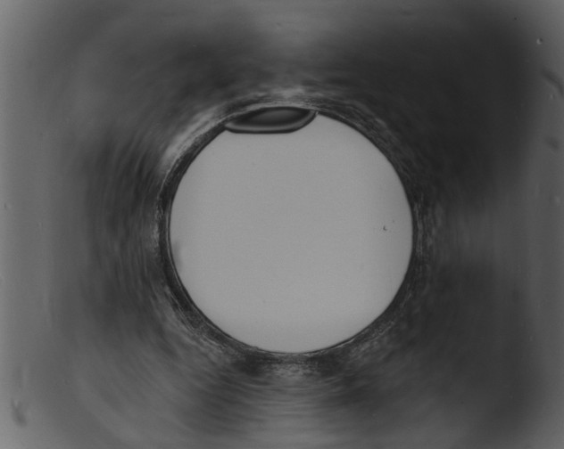 X0000103300344200809261319